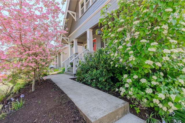 7906 SE Woodstock Blvd, Portland, OR 97206 - view of property's community