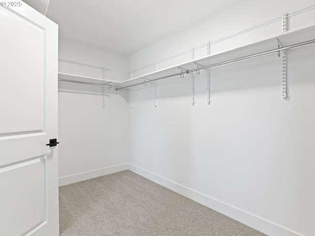 1208 N 44th Pl, Ridgefield, WA 98642 - walk in closet featuring carpet