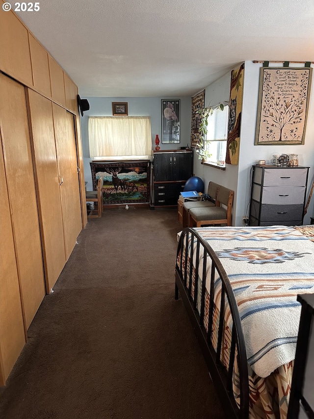 309 E Van Buren St, Athena, OR 97813 - bedroom featuring dark colored carpet and a textured ceiling