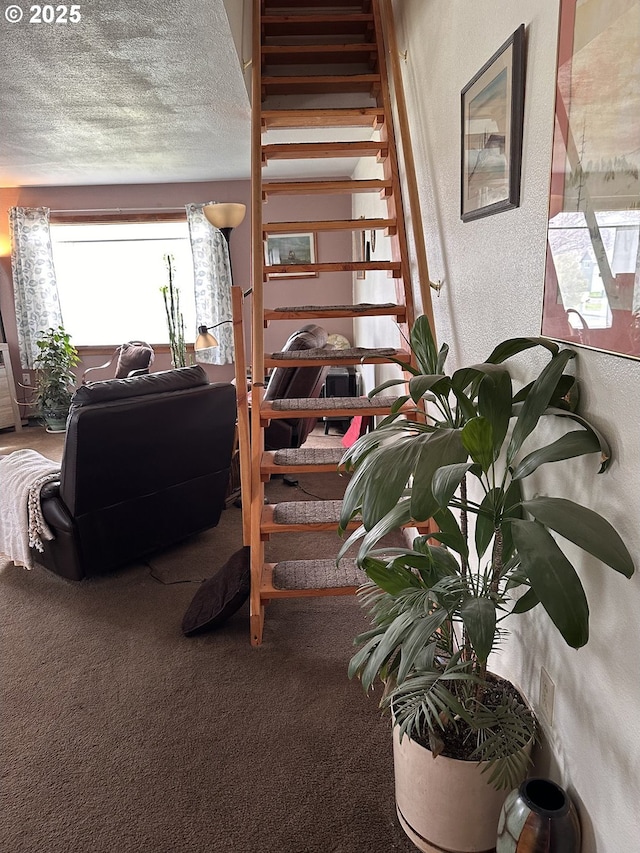 309 E Van Buren St, Athena, OR 97813 - stairway with carpet floors, a textured wall, and a textured ceiling