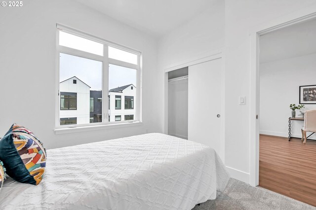 bedroom with multiple windows, a closet, and carpet floors