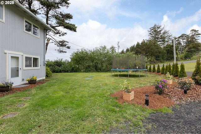 view of yard with a trampoline