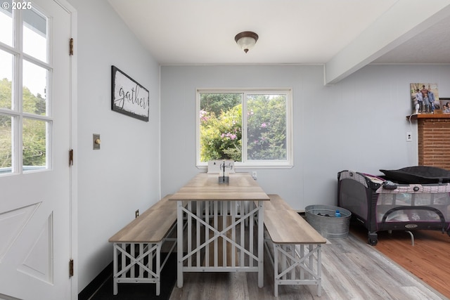 dining space featuring hardwood / wood-style floors