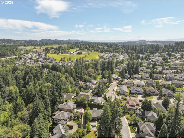 16572 SE Oak Meadow Ct, Damascus, OR 97089 - aerial perspective of suburban area with mountains and a forest