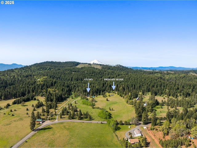 961 Snowden Rd, White Salmon, WA 98672 - bird's eye view of a forest and mountains