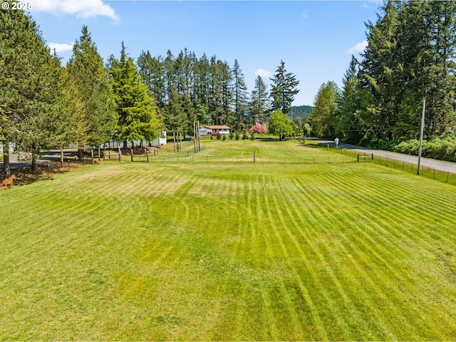 38383 Cartwright Creek Rd, Marcola, OR 97454 - view of yard