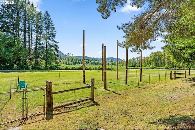 38383 Cartwright Creek Rd, Marcola, OR 97454 - view of yard with a view of countryside, a mountain view, and a gate