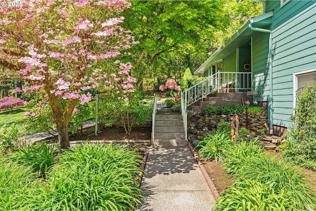 38383 Cartwright Creek Rd, Marcola, OR 97454 - view of yard