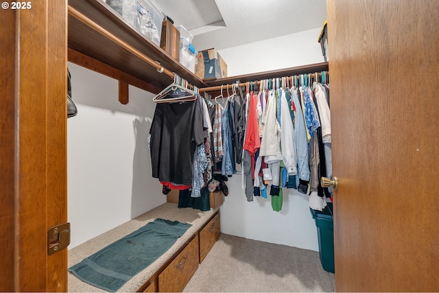 9065 Trask River Rd, Tillamook, OR 97141 - spacious closet featuring carpet flooring