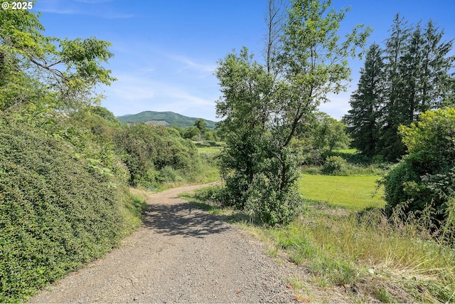 9065 Trask River Rd, Tillamook, OR 97141 - view of road with a mountain view