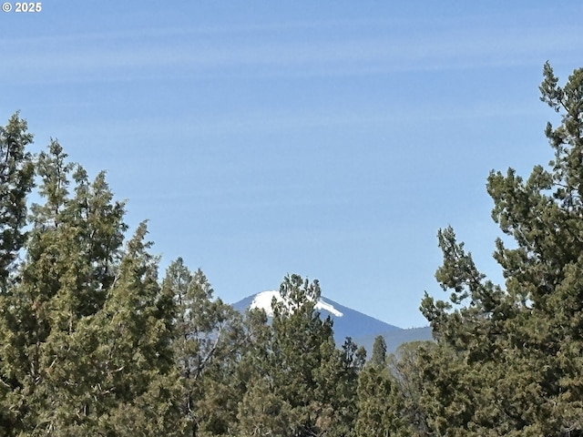 9949 Geneva View Rd, Terrebonne, OR 97760 - view of mountain background with a heavily wooded area