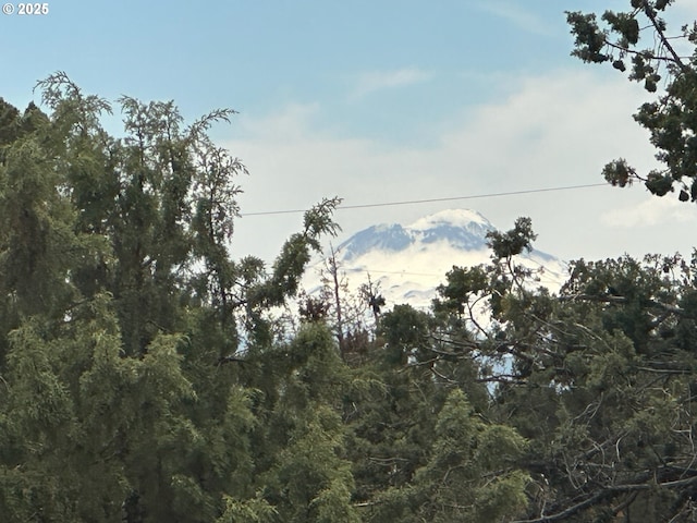9949 Geneva View Rd, Terrebonne, OR 97760 - view of woods with a mountain view