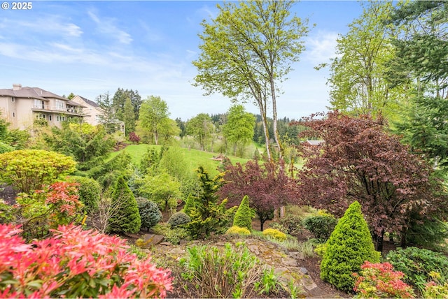 4640 SE Honors Dr, Gresham, OR 97080 - view of yard