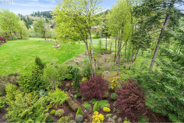 4640 SE Honors Dr, Gresham, OR 97080 - view of green lawn