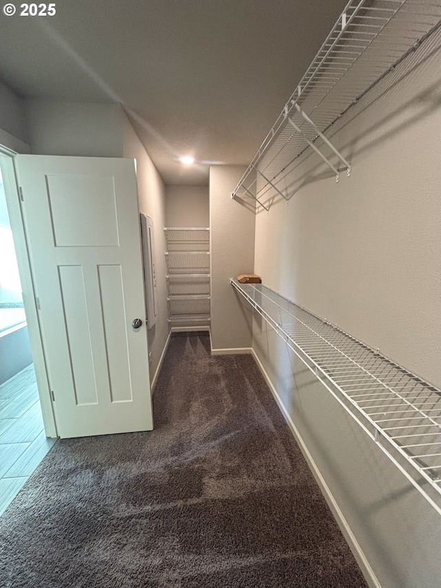 spacious closet featuring dark colored carpet