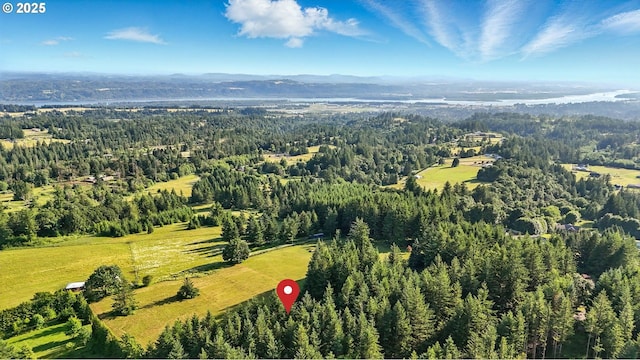 38617 SE Nichols Hill Rd, Washougal, WA 98671 - view of property location with a heavily wooded area