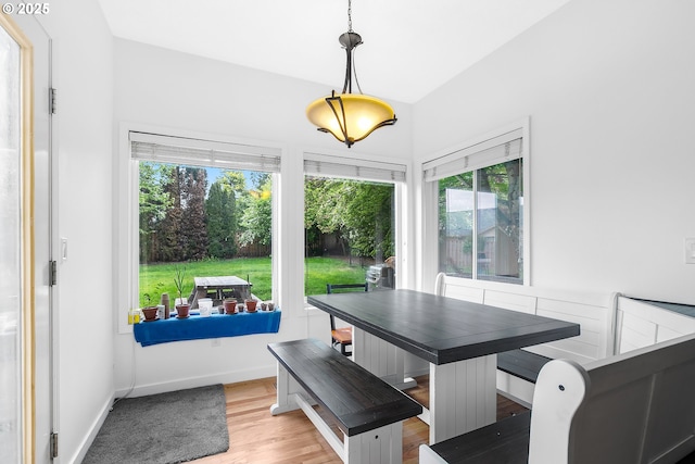 dining room with baseboards, a healthy amount of sunlight, and wood finished floors