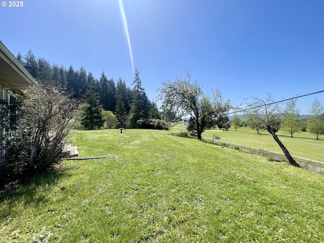 54824 Robinson Rd, Coquille, OR 97423 - view of grassy yard