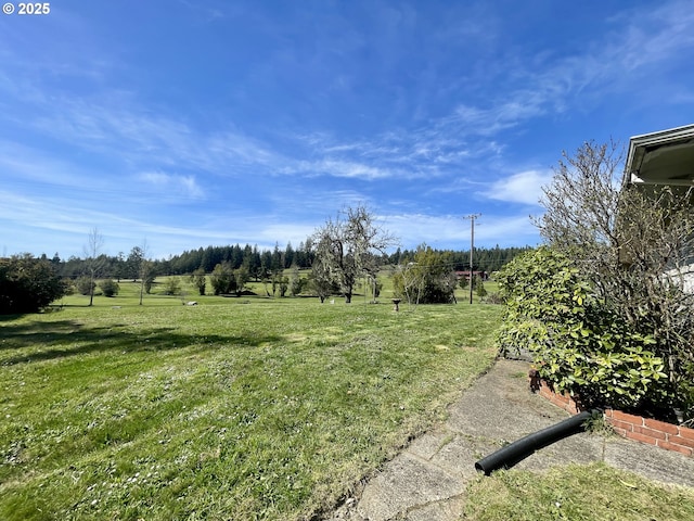 54824 Robinson Rd, Coquille, OR 97423 - view of grassy yard