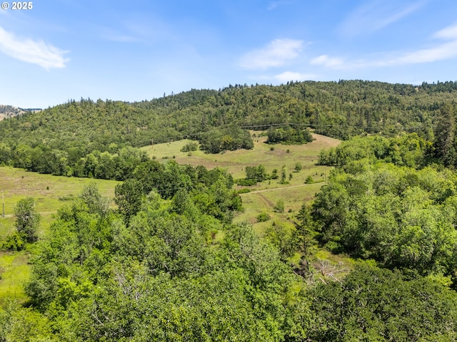 NE Newton Creek Dr, Roseburg, OR 97470