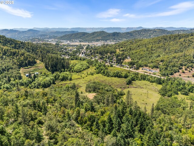 NE Newton Creek Dr, Roseburg, OR 97470