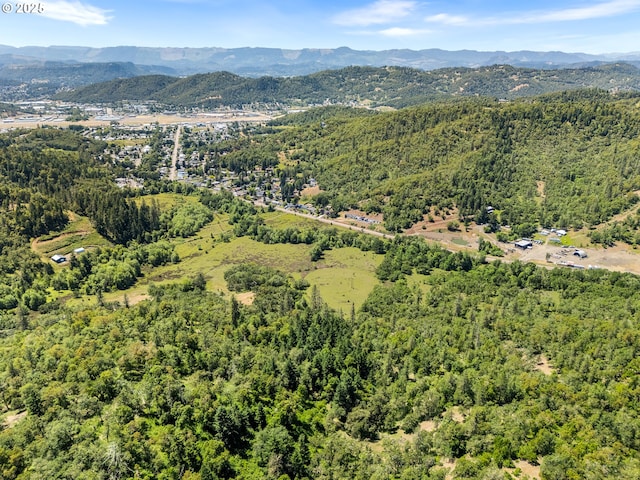 NE Newton Creek Dr, Roseburg, OR 97470