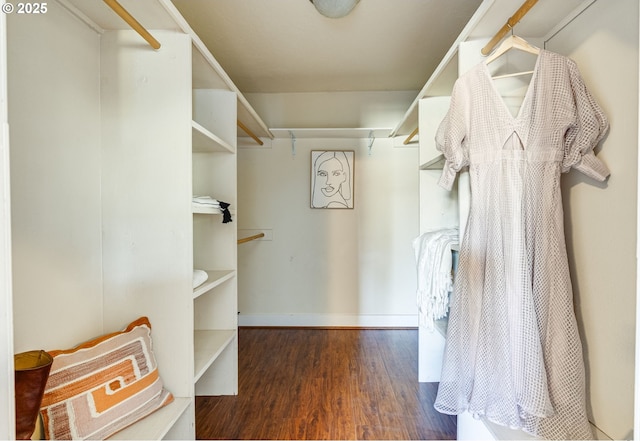 spacious closet featuring dark hardwood / wood-style flooring