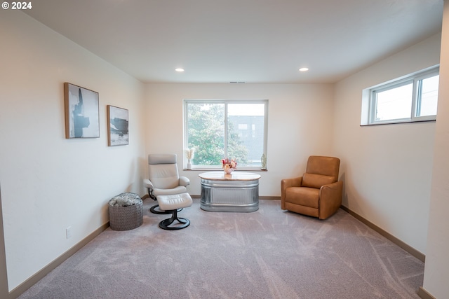 sitting room featuring carpet