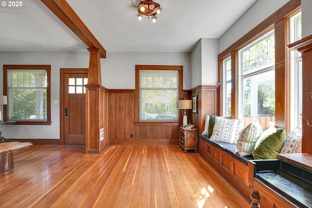 interior space featuring light wood-type flooring, wainscoting, and a wealth of natural light