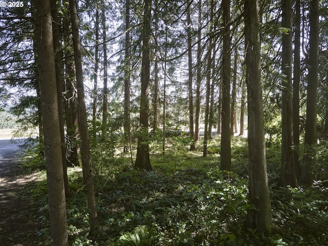 135 Ridgecrest Dr, Toledo, WA 98591 - view of tree filled area