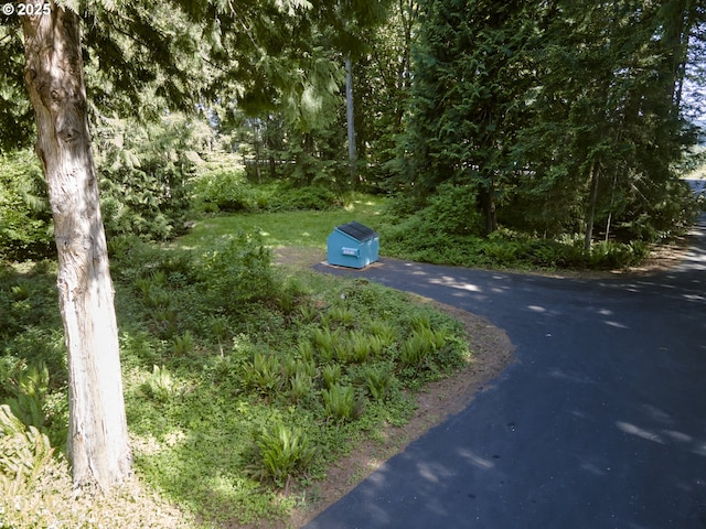 135 Ridgecrest Dr, Toledo, WA 98591 - view of road