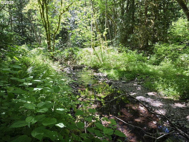 135 Ridgecrest Dr, Toledo, WA 98591 - view of woods