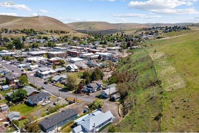 aerial perspective of suburban area featuring mountains
