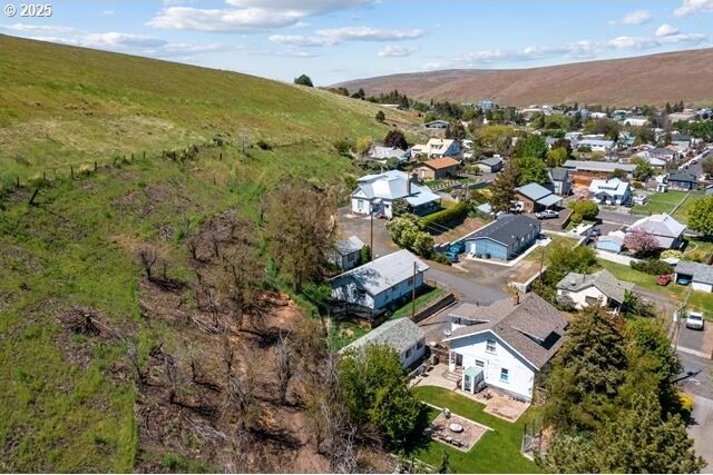 aerial view of residential area with a mountain backdrop