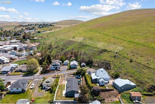 aerial view of residential area with a mountain backdrop