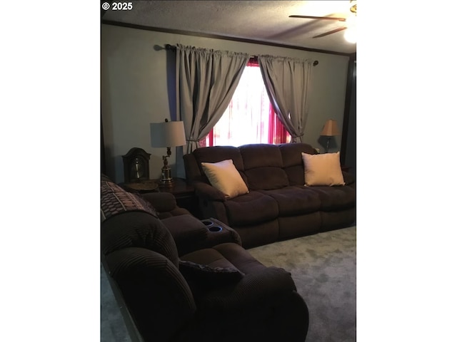 carpeted living room with a textured ceiling and ceiling fan