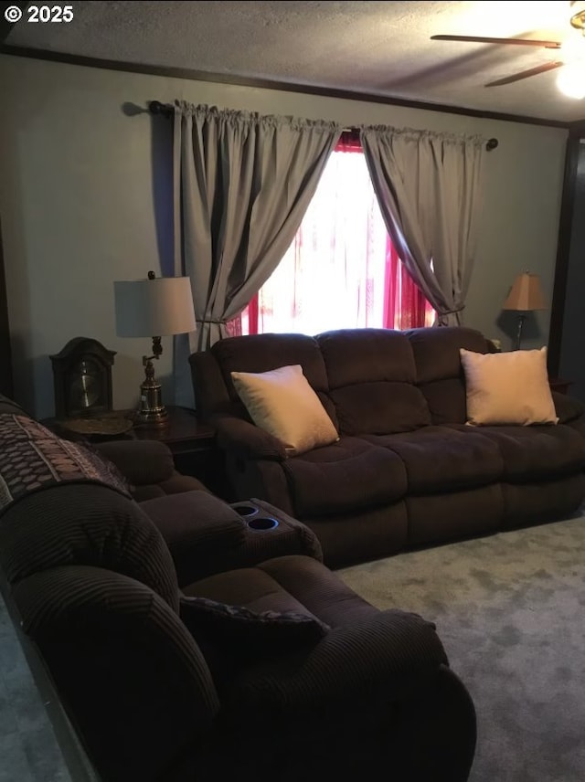 39028 Dexter Rd, Dexter, OR 97431 - carpeted living room with a textured ceiling and ceiling fan