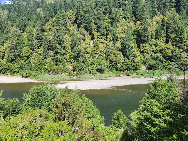 33080 Lupine Way Rd, Gold Beach, OR 97444 - water view with a heavily wooded area