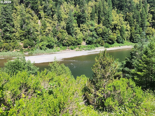 33080 Lupine Way Rd, Gold Beach, OR 97444 - aerial view of a large body of water and a forest