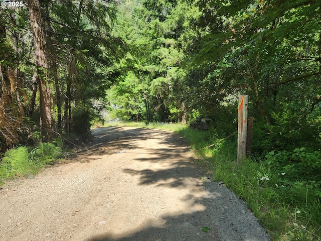 33080 Lupine Way Rd, Gold Beach, OR 97444 - view of street featuring a view of trees