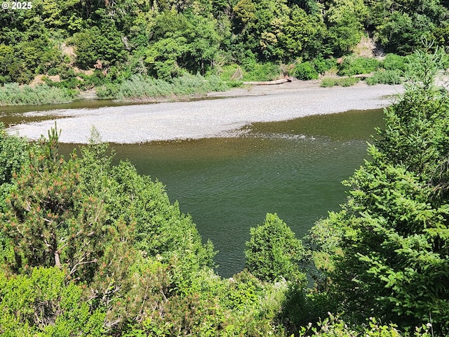 33080 Lupine Way Rd, Gold Beach, OR 97444 - water view