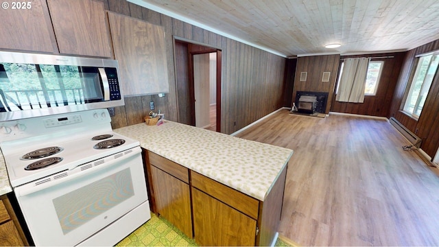 33080 Lupine Way Rd, Gold Beach, OR 97444 - kitchen featuring electric stove, stainless steel microwave, a baseboard heating unit, light countertops, and wooden walls