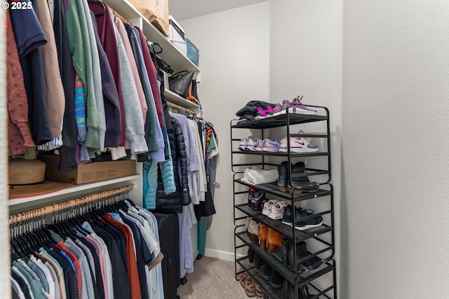 521 Wildcat Canyon Rd, Sutherlin, OR 97479 - walk in closet with carpet flooring