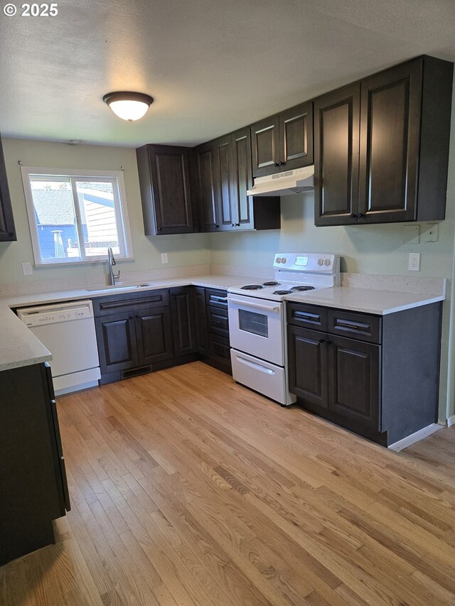 1625 Jackson St, Albany, OR 97322 - kitchen featuring white appliances, under cabinet range hood, light wood-style floors, and light countertops