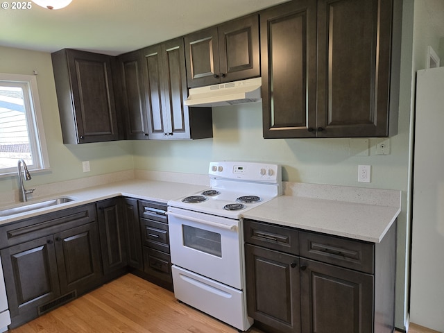 1625 Jackson St, Albany, OR 97322 - kitchen with under cabinet range hood, white appliances, light countertops, light wood-style flooring, and dark brown cabinets