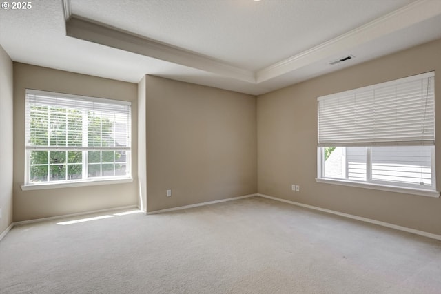 13605 NW Hogan St, Portland, OR 97229 - empty room featuring ornamental molding, carpet floors, baseboards, a tray ceiling, and a textured ceiling