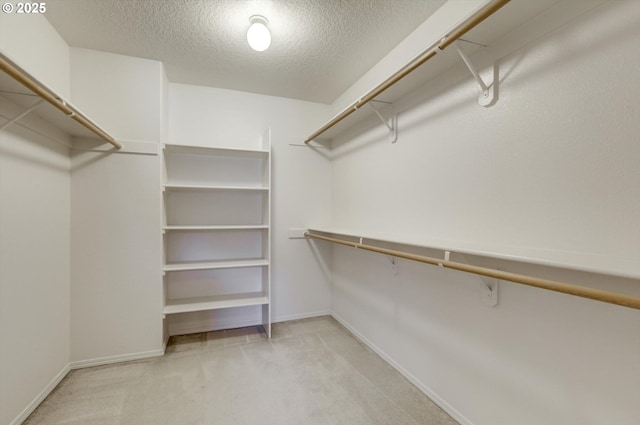 13605 NW Hogan St, Portland, OR 97229 - walk in closet with light colored carpet
