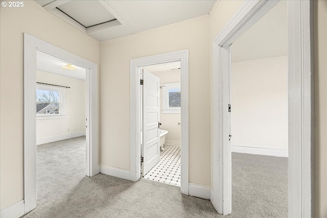 hallway with light colored carpet, plenty of natural light, and crown molding