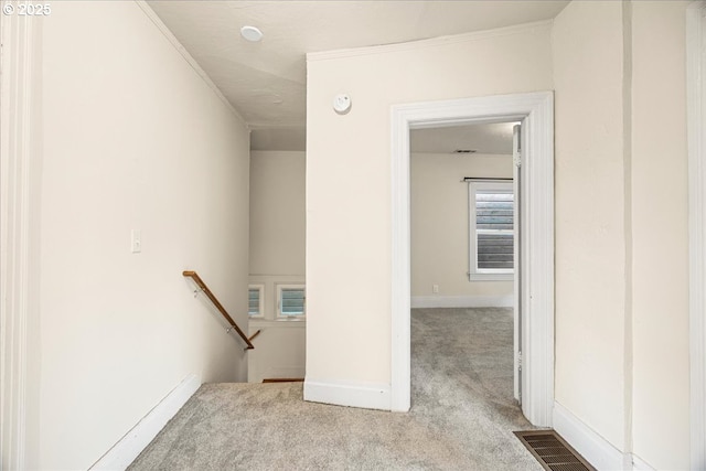 corridor with light colored carpet and crown molding