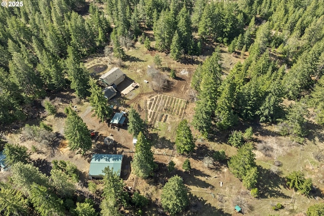 20 Silva Cutoff Rd, Lyle, WA 98635 - aerial view